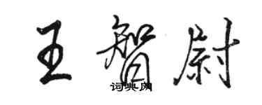 駱恆光王智尉行書個性簽名怎么寫