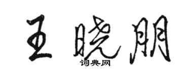 駱恆光王曉朋行書個性簽名怎么寫