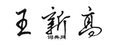 駱恆光王新高行書個性簽名怎么寫