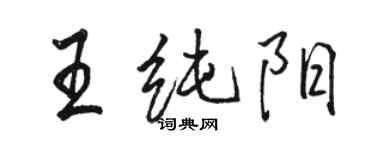 駱恆光王純陽行書個性簽名怎么寫