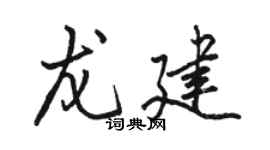 駱恆光龍建行書個性簽名怎么寫