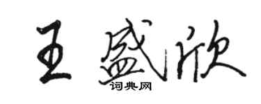 駱恆光王盛欣行書個性簽名怎么寫