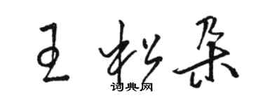 駱恆光王松朵草書個性簽名怎么寫