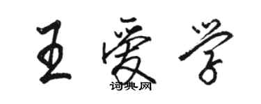 駱恆光王愛學行書個性簽名怎么寫