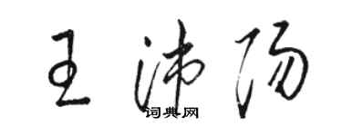 駱恆光王沛陽草書個性簽名怎么寫