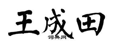 翁闓運王成田楷書個性簽名怎么寫