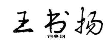 曾慶福王書揚行書個性簽名怎么寫