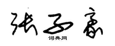 朱錫榮張子豪草書個性簽名怎么寫