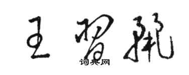 駱恆光王習麗草書個性簽名怎么寫