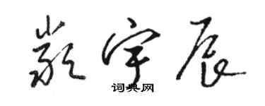 駱恆光嚴宇辰草書個性簽名怎么寫