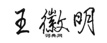 駱恆光王徽明行書個性簽名怎么寫