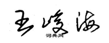 朱錫榮王峻海草書個性簽名怎么寫