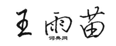 駱恆光王雨苗行書個性簽名怎么寫