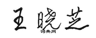 駱恆光王曉芝行書個性簽名怎么寫