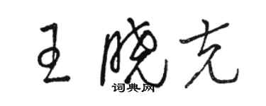 駱恆光王曉克草書個性簽名怎么寫