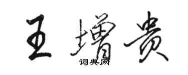 駱恆光王增貴行書個性簽名怎么寫