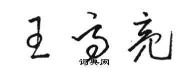 駱恆光王高亮草書個性簽名怎么寫