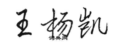 駱恆光王楊凱行書個性簽名怎么寫