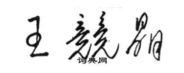 駱恆光王競晶草書個性簽名怎么寫