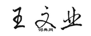 駱恆光王文業行書個性簽名怎么寫