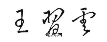 駱恆光王習雲草書個性簽名怎么寫