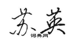 駱恆光蘇英行書個性簽名怎么寫