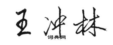 駱恆光王沖林行書個性簽名怎么寫