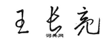 駱恆光王長亮草書個性簽名怎么寫