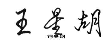 駱恆光王星胡行書個性簽名怎么寫