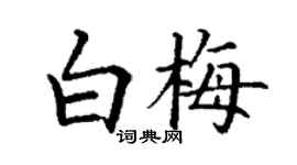 丁謙白梅楷書個性簽名怎么寫