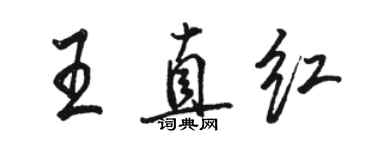 駱恆光王直紅行書個性簽名怎么寫