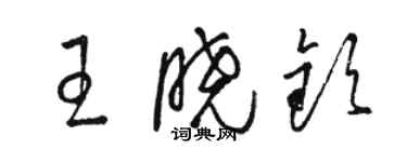 駱恆光王曉欽草書個性簽名怎么寫