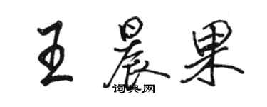 駱恆光王晨果行書個性簽名怎么寫