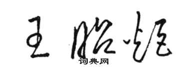 駱恆光王昭炬草書個性簽名怎么寫