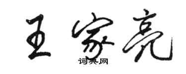 駱恆光王家亮行書個性簽名怎么寫