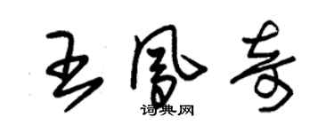 朱錫榮王鳳奇草書個性簽名怎么寫