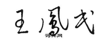 駱恆光王鳳民草書個性簽名怎么寫