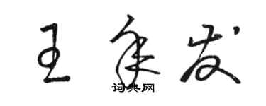 駱恆光王年發草書個性簽名怎么寫