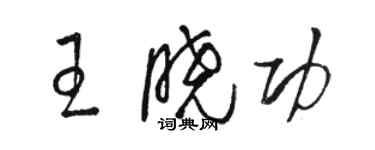 駱恆光王曉功草書個性簽名怎么寫