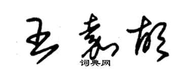 朱錫榮王嘉胡草書個性簽名怎么寫