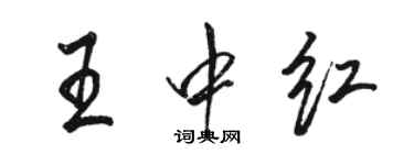 駱恆光王中紅行書個性簽名怎么寫