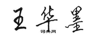 駱恆光王華墨行書個性簽名怎么寫