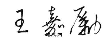 駱恆光王嘉勵草書個性簽名怎么寫