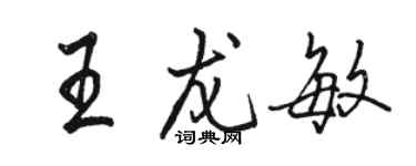 駱恆光王龍敏行書個性簽名怎么寫