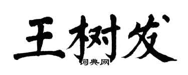 翁闓運王樹發楷書個性簽名怎么寫