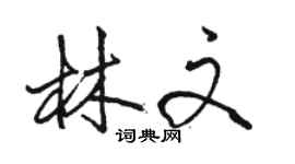 駱恆光林文行書個性簽名怎么寫