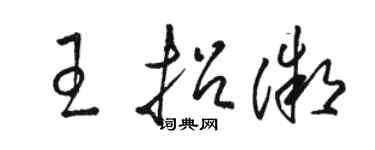 駱恆光王招微草書個性簽名怎么寫