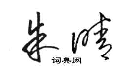 駱恆光朱晴草書個性簽名怎么寫