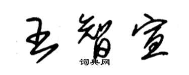 朱錫榮王智宣草書個性簽名怎么寫