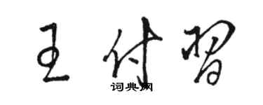 駱恆光王付習草書個性簽名怎么寫